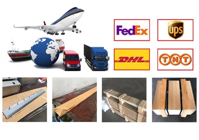 POLARまたはカスタマイズされた紙ギロチン切断機 刃 紙切断刀 8